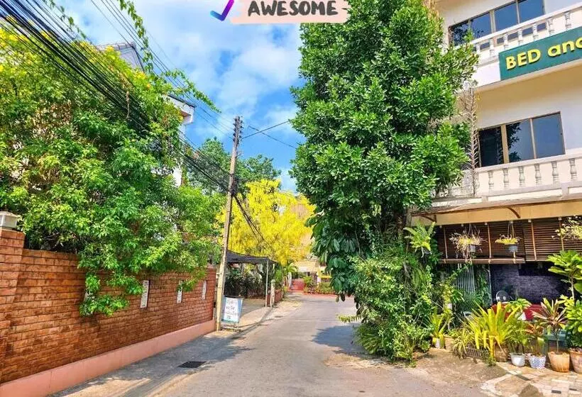 Fotos del hotel Bed And Terrace Guesthouse Chiang Mai:  7