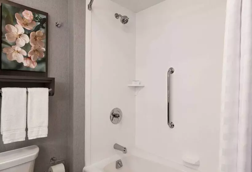 Fotos del hotel Homewood Suites By Hilton Washington Dc Convention Ctr Area:  21