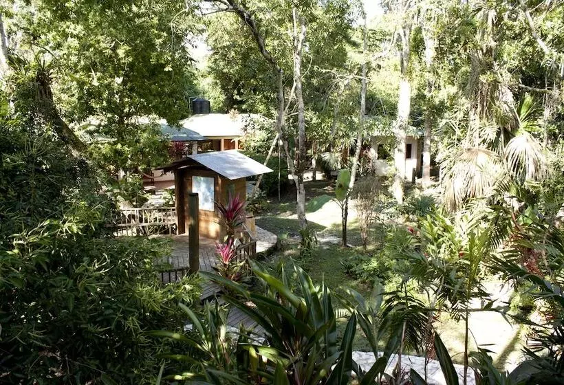 Fotos del hotel Jaguar Inn Tikal:  24