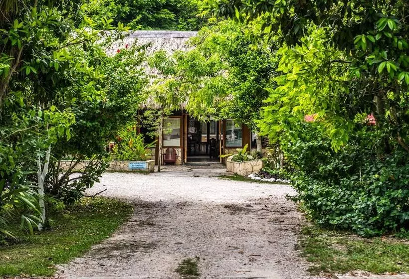 Fotos del hotel Jaguar Inn Tikal:  21