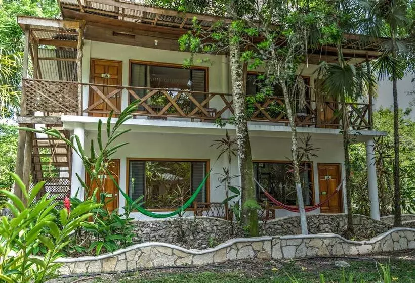 Fotos del hotel Jaguar Inn Tikal:  16