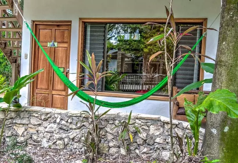 Fotos del hotel Jaguar Inn Tikal:  18