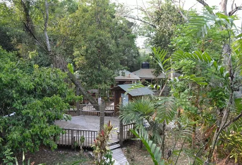 Fotos del hotel Jaguar Inn Tikal:  20