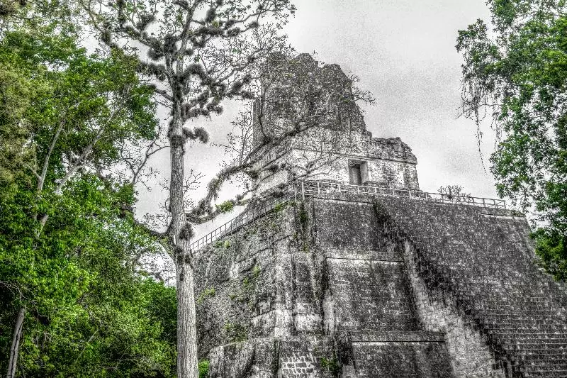 Fotos del hotel Jaguar Inn Tikal:  13