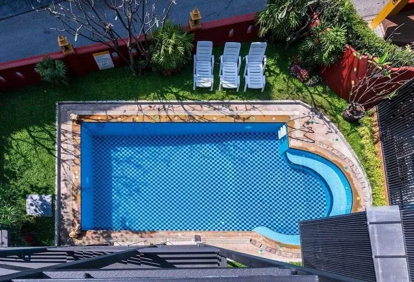 Fotos del hotel Chiang Mai Thai House,thapae:  2