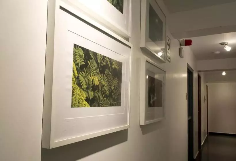 Fotos del hotel Arvo  Boutique:  5