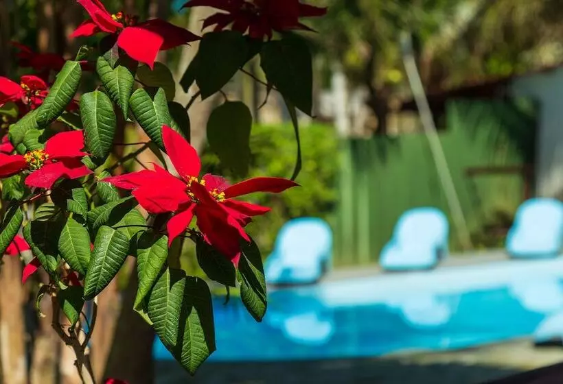 Fotos del hotel Pousada Rio Paraty:  14