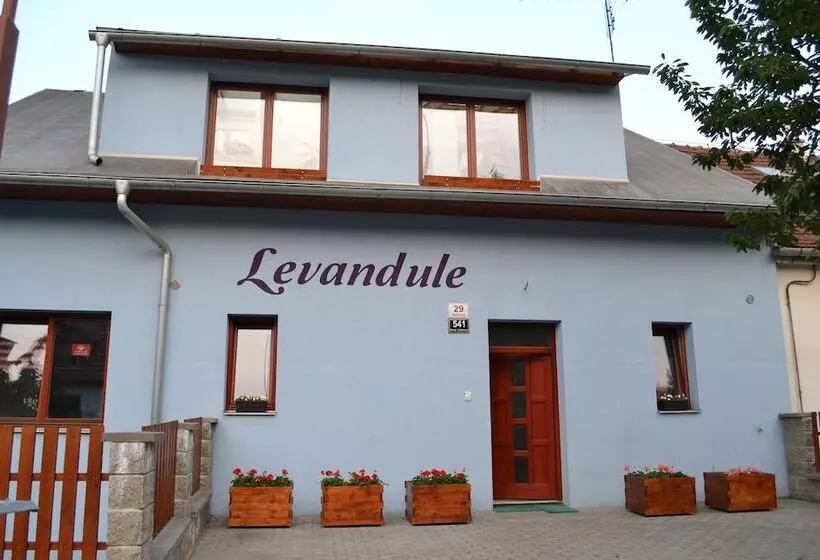 Fotos del hotel Levandule:  12