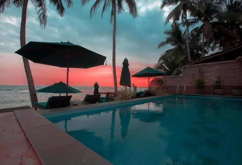 Fotos del hotel Sea World Boutique:  18