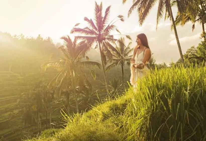 Fotos del hotel Visesa Ubud Resort:  7