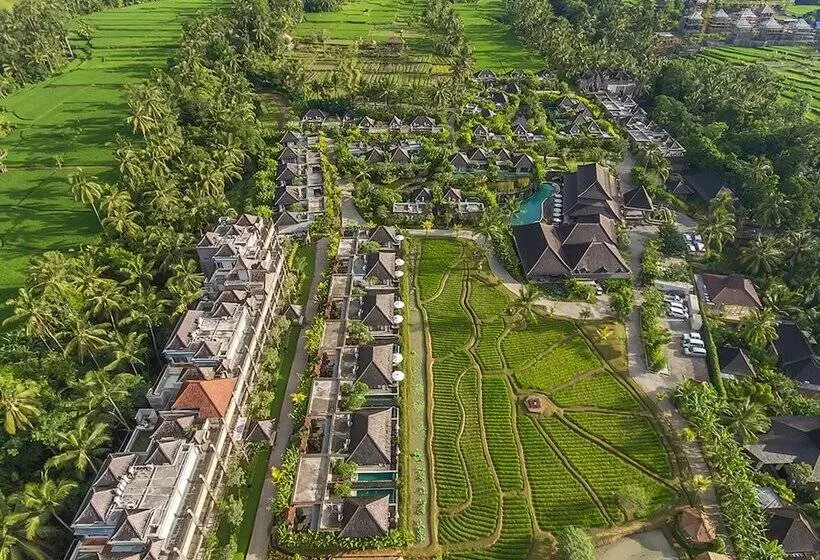 Fotos del hotel Visesa Ubud Resort:  3