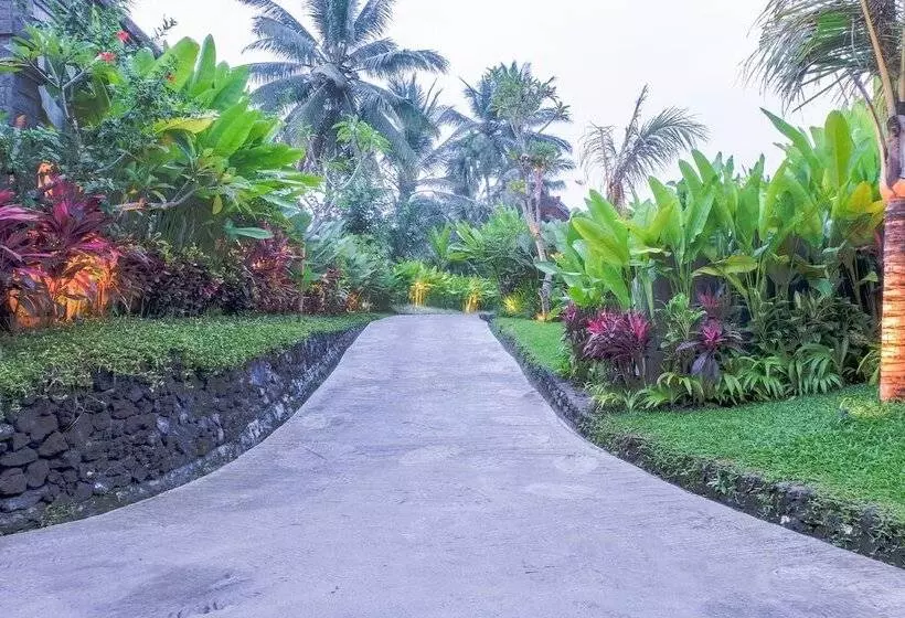 Fotos del hotel Visesa Ubud Resort:  13