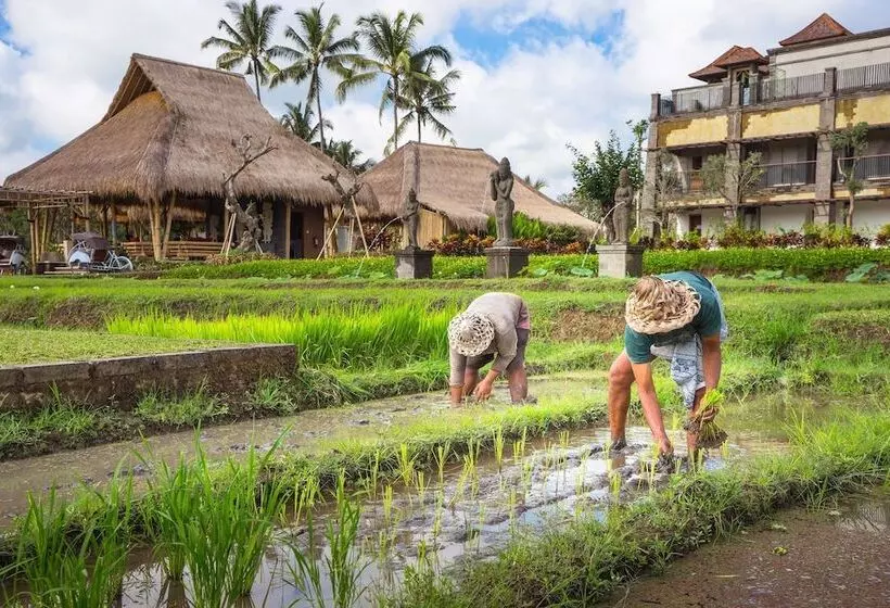 Fotos del hotel Visesa Ubud Resort:  14
