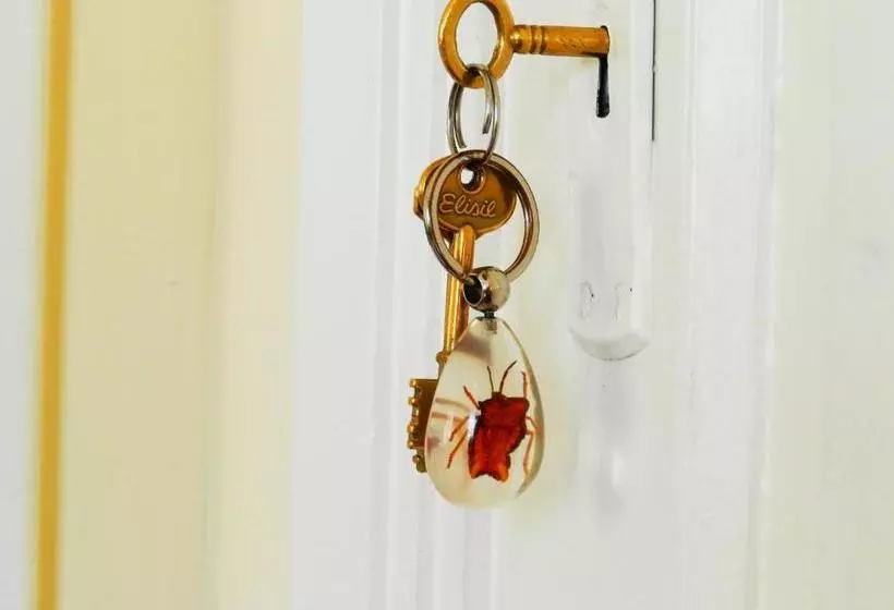 Fotos del hotel Casa Sarandi Guesthouse:  12