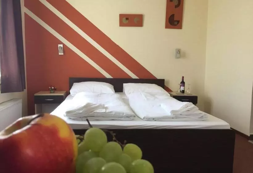 Fotos del hotel Agoston:  7