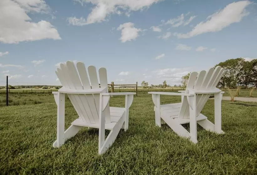 Fotos del hotel Appleby House & Rabbit Island Huts:  19