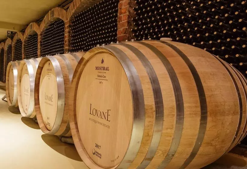 Fotos del hotel Lovane Boutique Wine Estate:  12