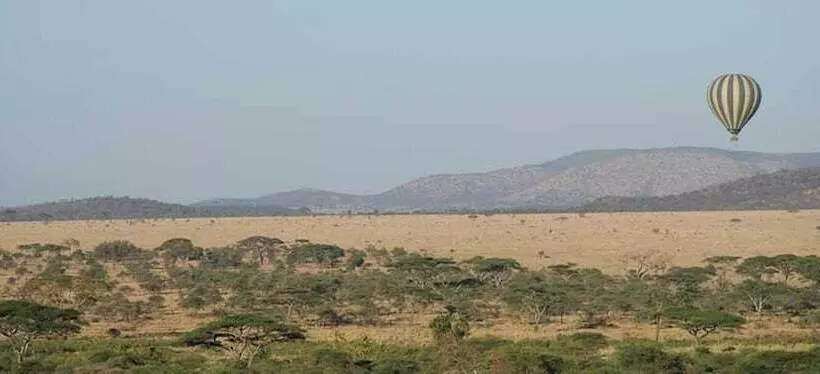 Fotos del hotel Seronera Wildlife Lodge:  18