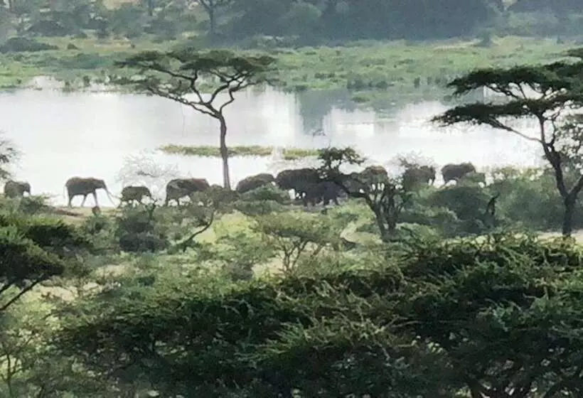 Fotos del hotel Seronera Wildlife Lodge:  21