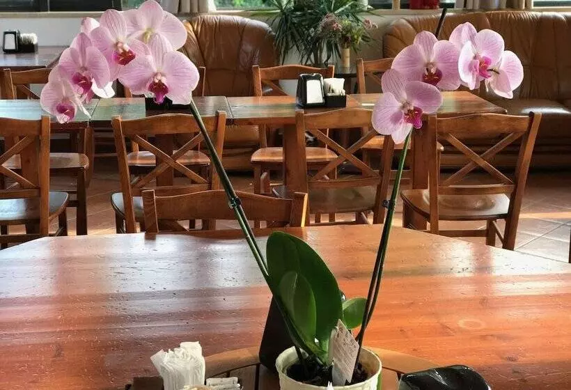Fotos del hotel Villa Patrizia:  14