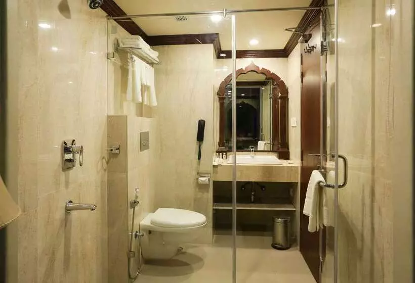 Fotos del hotel Comfort Inn Sapphire:  20