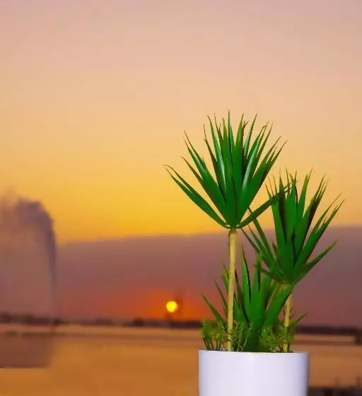 Fotos del hotel Rahhal Al Bahr  Apartments:  6