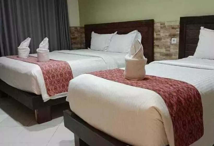 Fotos del hotel Alkyfa:  2