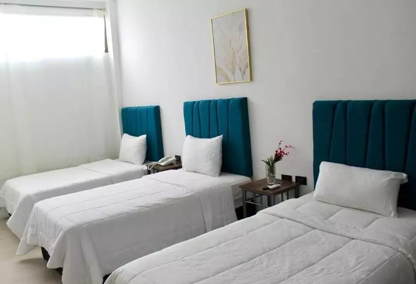 Fotos del hotel Presidente Internacional:  18
