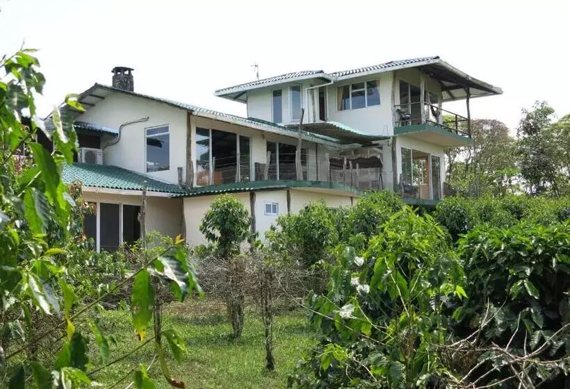 Fotos del hotel Semilla Verde Boutique:  18