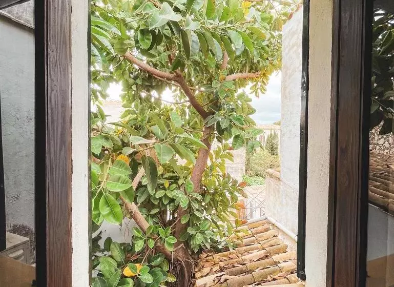 Fotos del hotel El Nido Alaro:  14