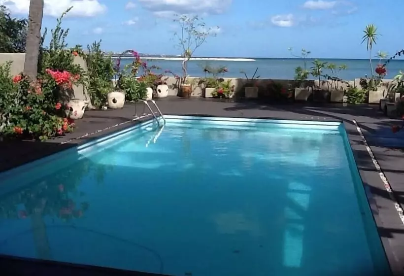 Fotos del hotel Harbour Side Lodge:  2