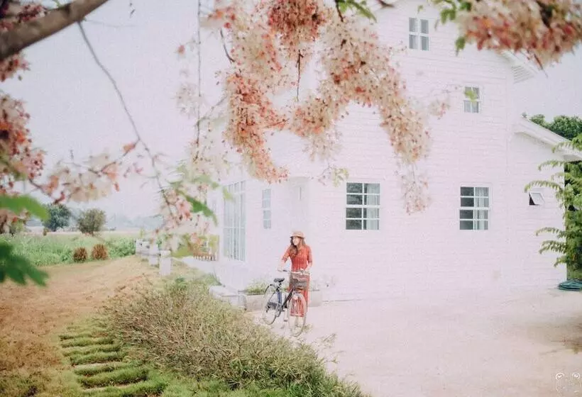 Fotos del hotel Romance Another Story In Pai:  7