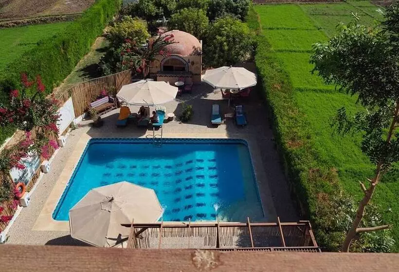 Fotos del hotel Nile Compound:  2