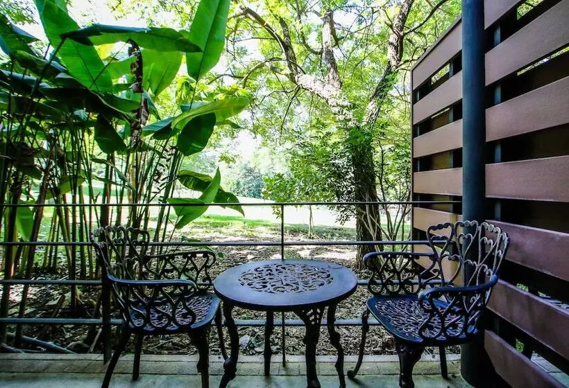 Fotos del hotel Rain Tree Residence:  4