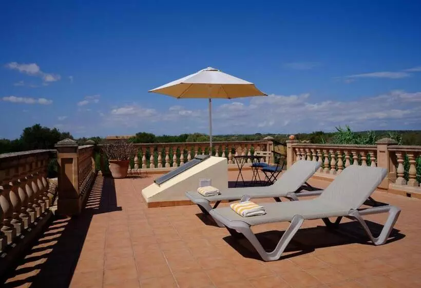 Fotos del hotel S´hort De Can Carrió:  3