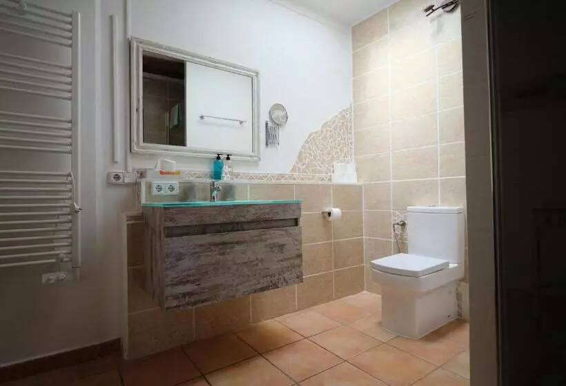 Fotos del hotel S´hort De Can Carrió:  12