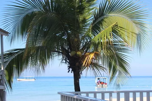 Fotos del hotel Zanzi Beach Resort:  9