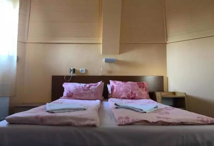 Fotos del hotel Sashalom:  5