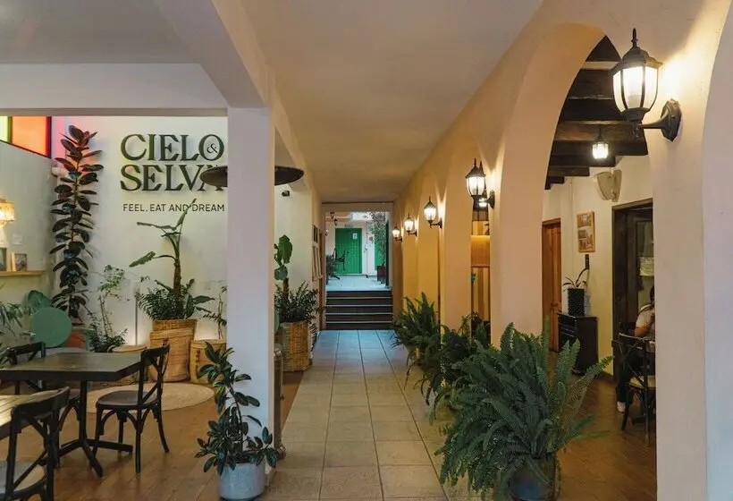 Fotos del hotel Los Altos:  2