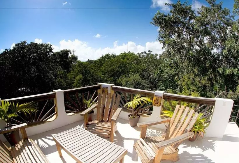 Fotos del hotel Mango Tulum:  14