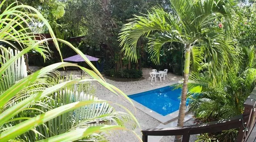 Fotos del hotel Mango Tulum:  13