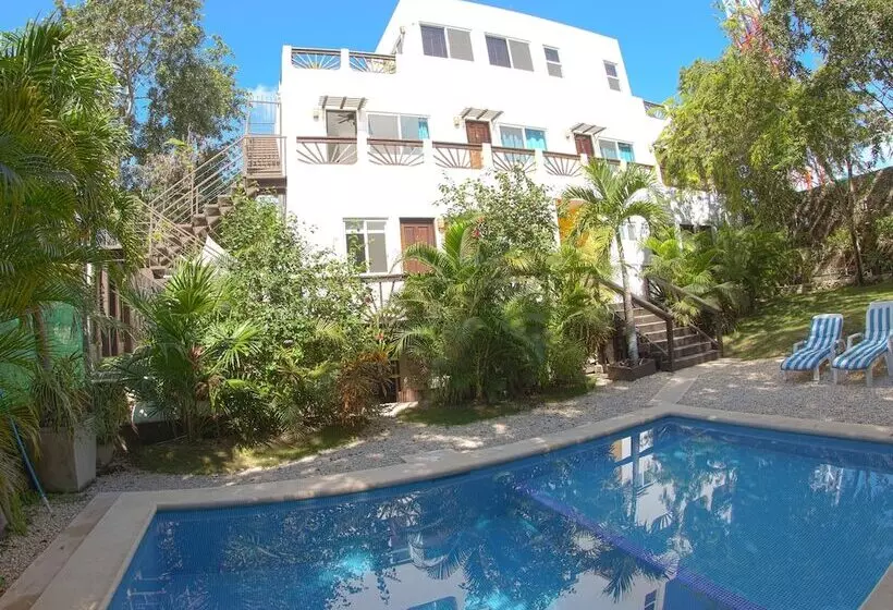 Fotos del hotel Mango Tulum:  24