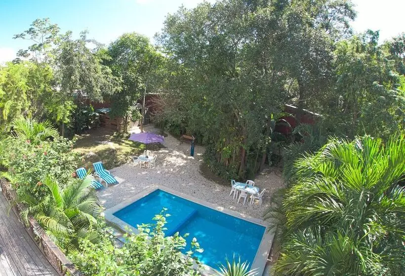 Fotos del hotel Mango Tulum:  20
