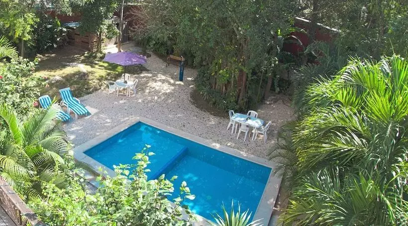 Fotos del hotel Mango Tulum:  9