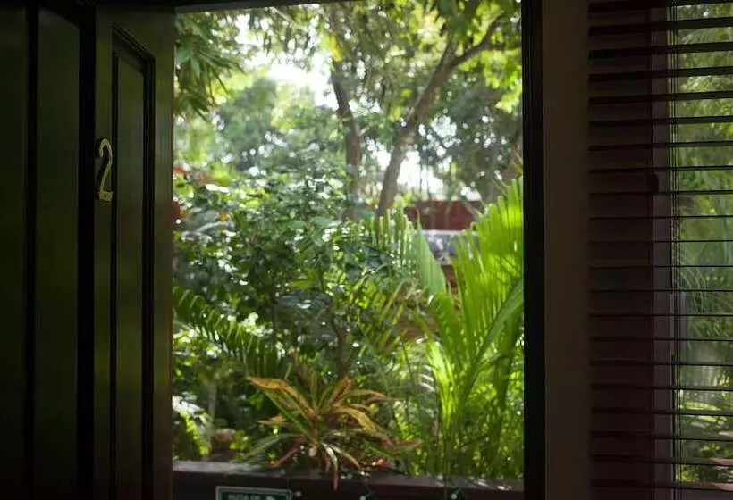 Fotos del hotel Mango Tulum:  7