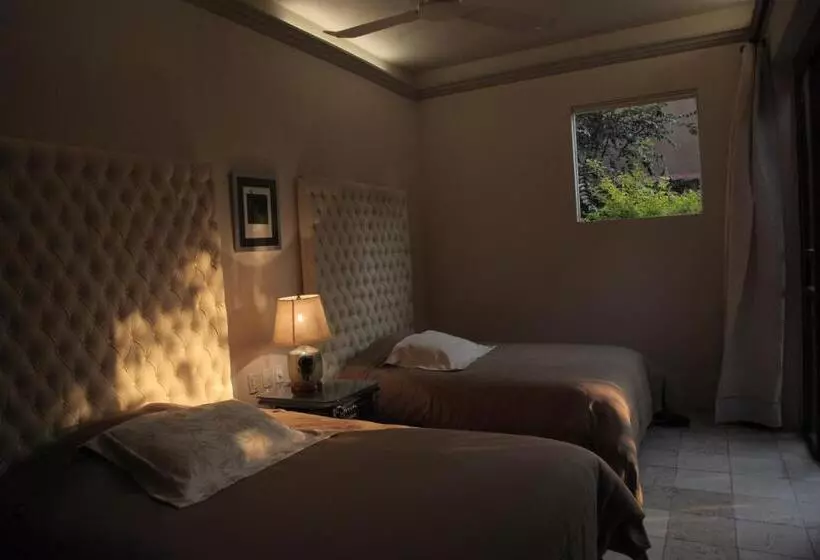 Fotos del hotel Orchidelirium Casa Hotel & Salud Estética:  8