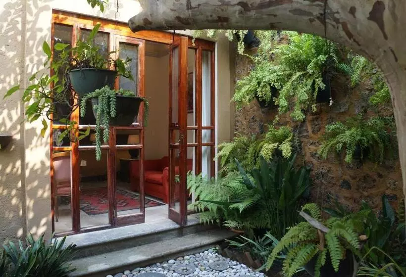 Fotos del hotel Orchidelirium Casa Hotel & Salud Estética:  14