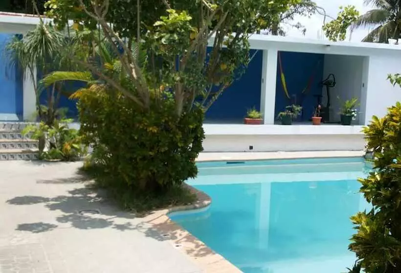 Fotos del hotel Casa Flores De Tikal:  4