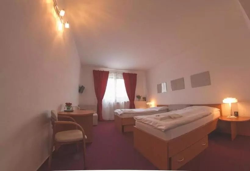 Fotos del hotel Wolf:  7