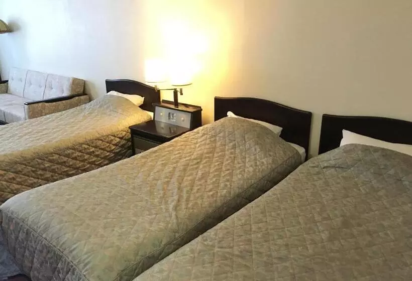 Fotos del hotel Nikko Astraea:  9